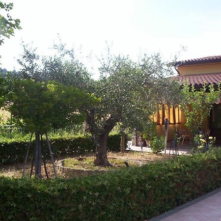 Agriturismo 7 Colonne Villa แบร์ตินอโร ภายนอก รูปภาพ