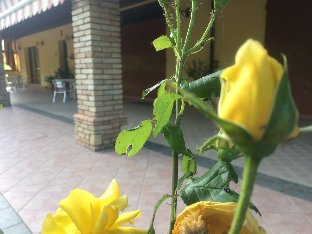 Agriturismo 7 Colonne Villa แบร์ตินอโร ภายนอก รูปภาพ