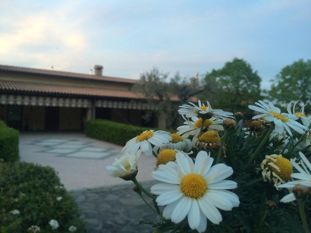 Agriturismo 7 Colonne Villa แบร์ตินอโร ภายนอก รูปภาพ