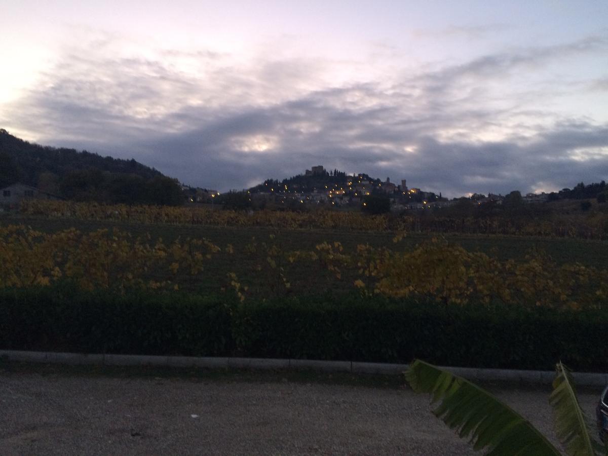 Agriturismo 7 Colonne Villa แบร์ตินอโร ภายนอก รูปภาพ